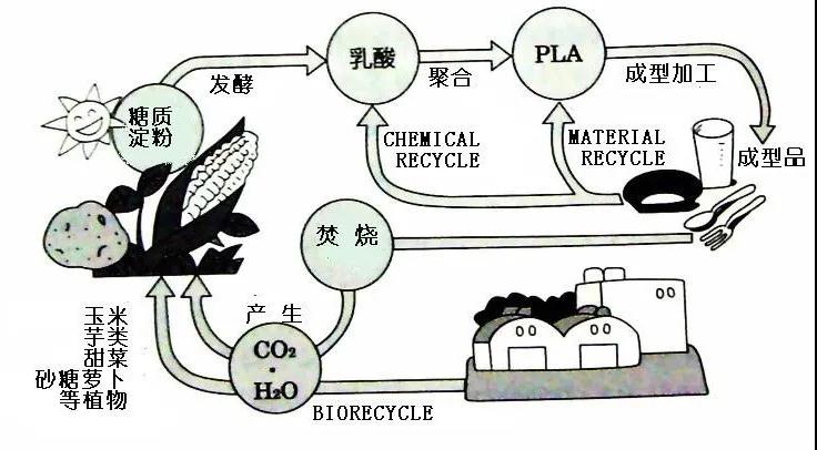 可生物降解環(huán)保塑料可以回收再利用嗎？(圖4)